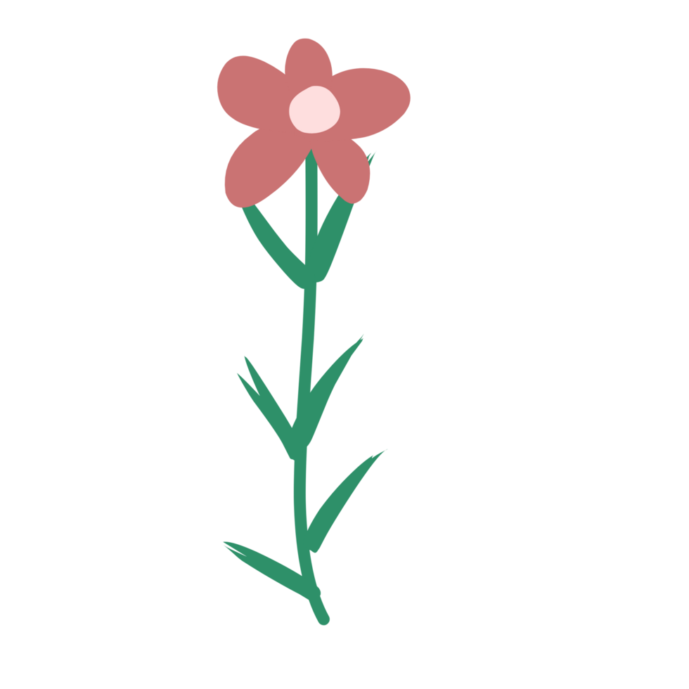 Botanical flower doodle png