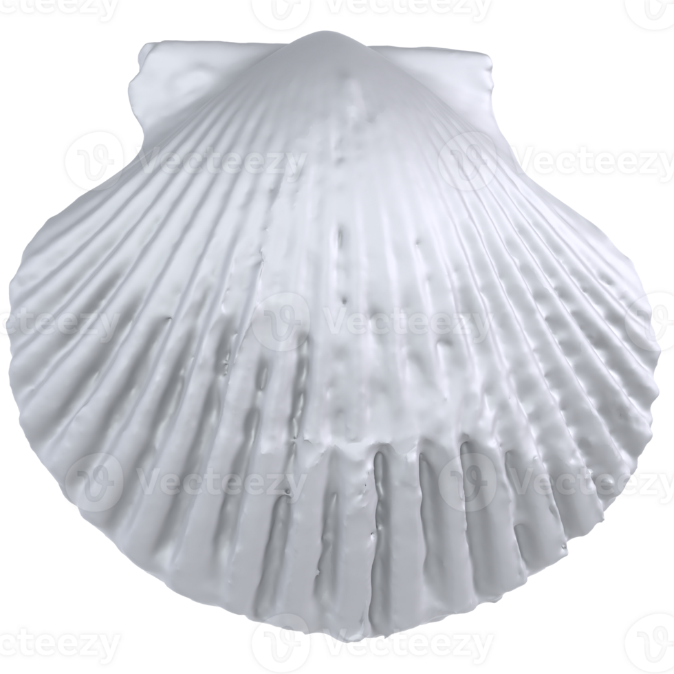 3d Rendering Of Sea Shell png