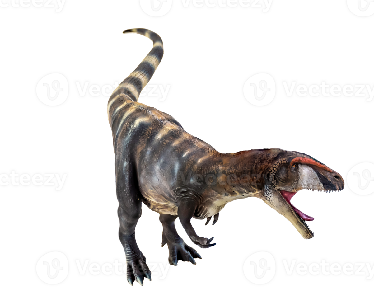 dinosaur , Carcharadontosaurus  isolated background png