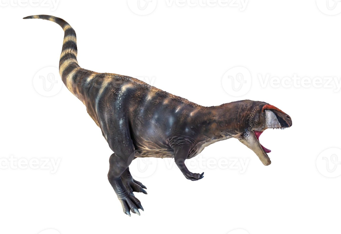 dinosaur , Carcharadontosaurus  isolated background png