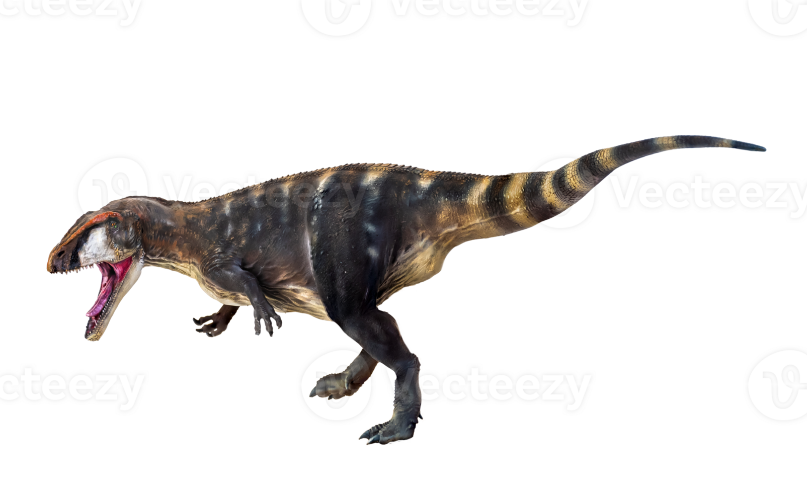 dinosaur , Carcharadontosaurus  isolated background png