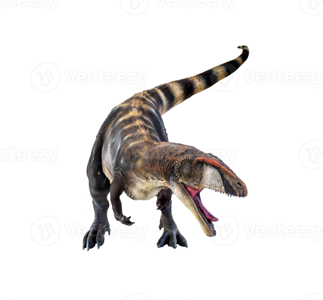 dinosaurus , carcharodontosaurus geïsoleerd achtergrond png