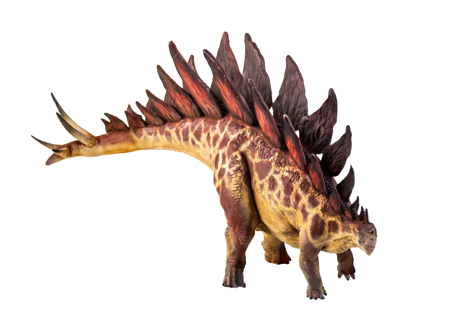 Dinossauro Estegossauro Em Fundo Isolado PNG , Antigo, Jurássico