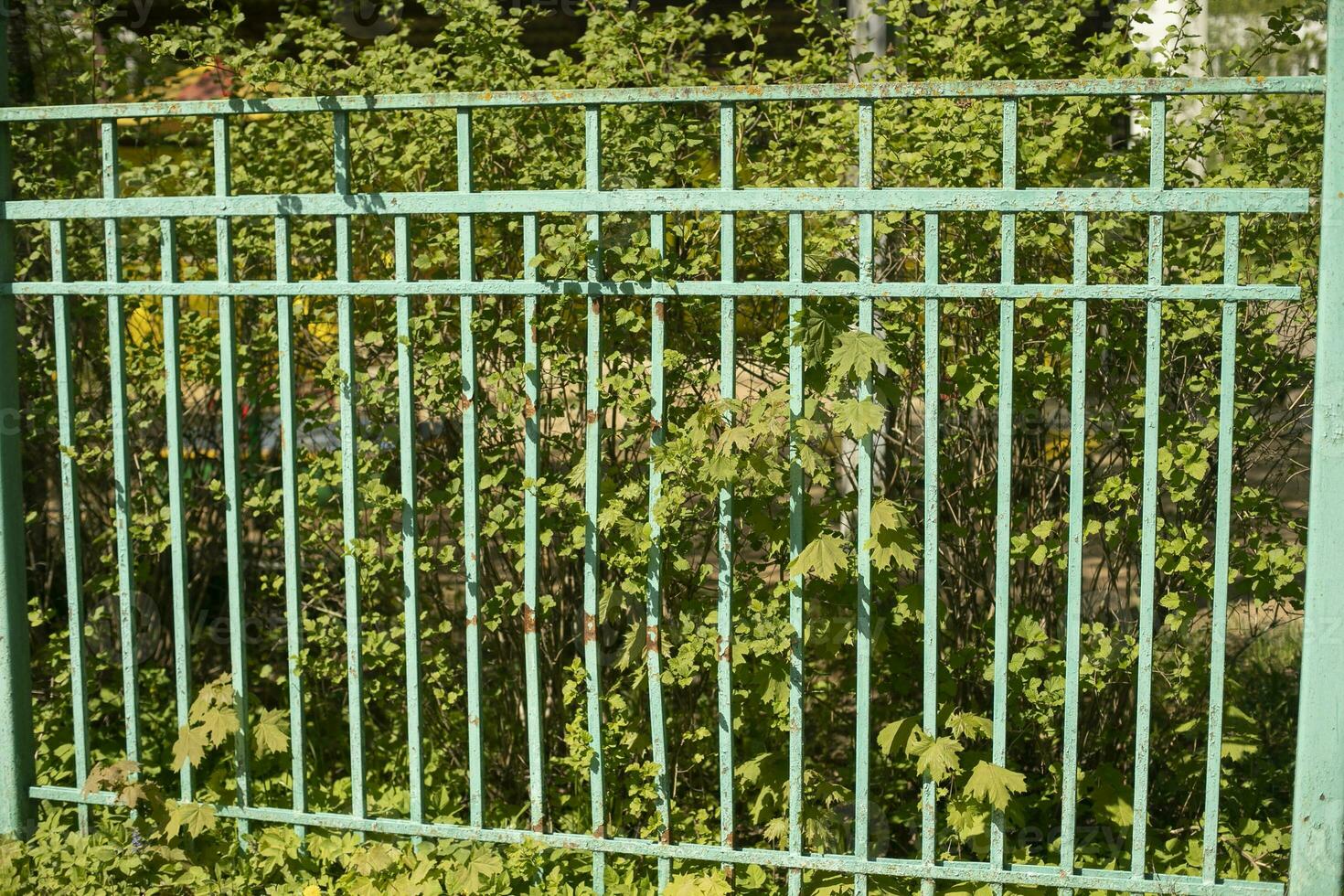 Green fence made of steel rods. Fence around park. Details of territory. photo