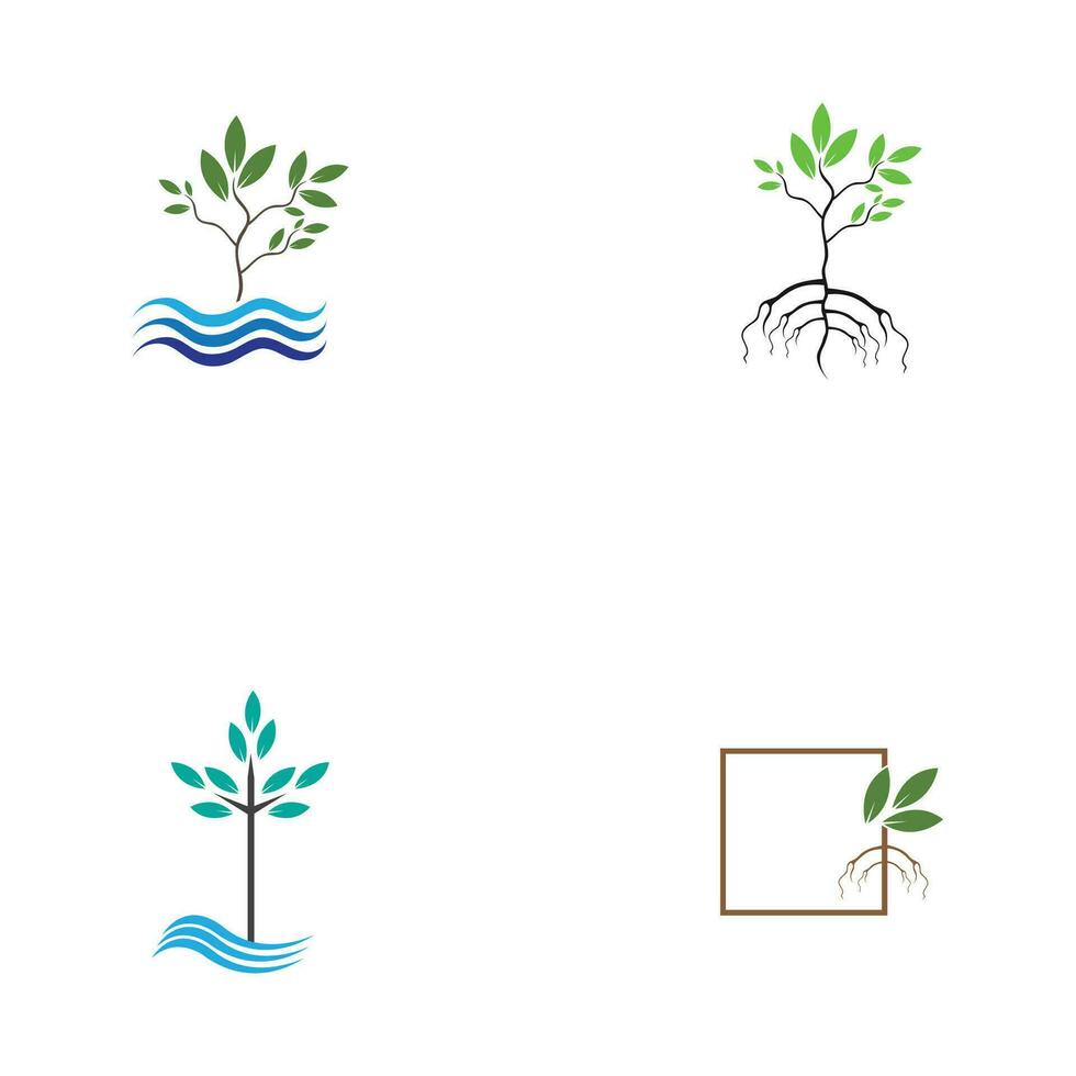 mangrove logo symbol vector