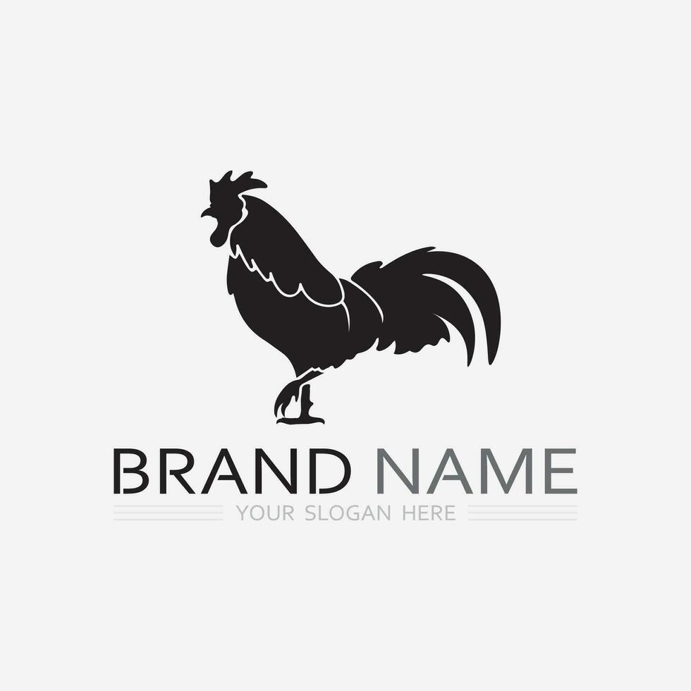 chicken logo  rooster and hen logo for poultry farming  animal logo vector illustration design