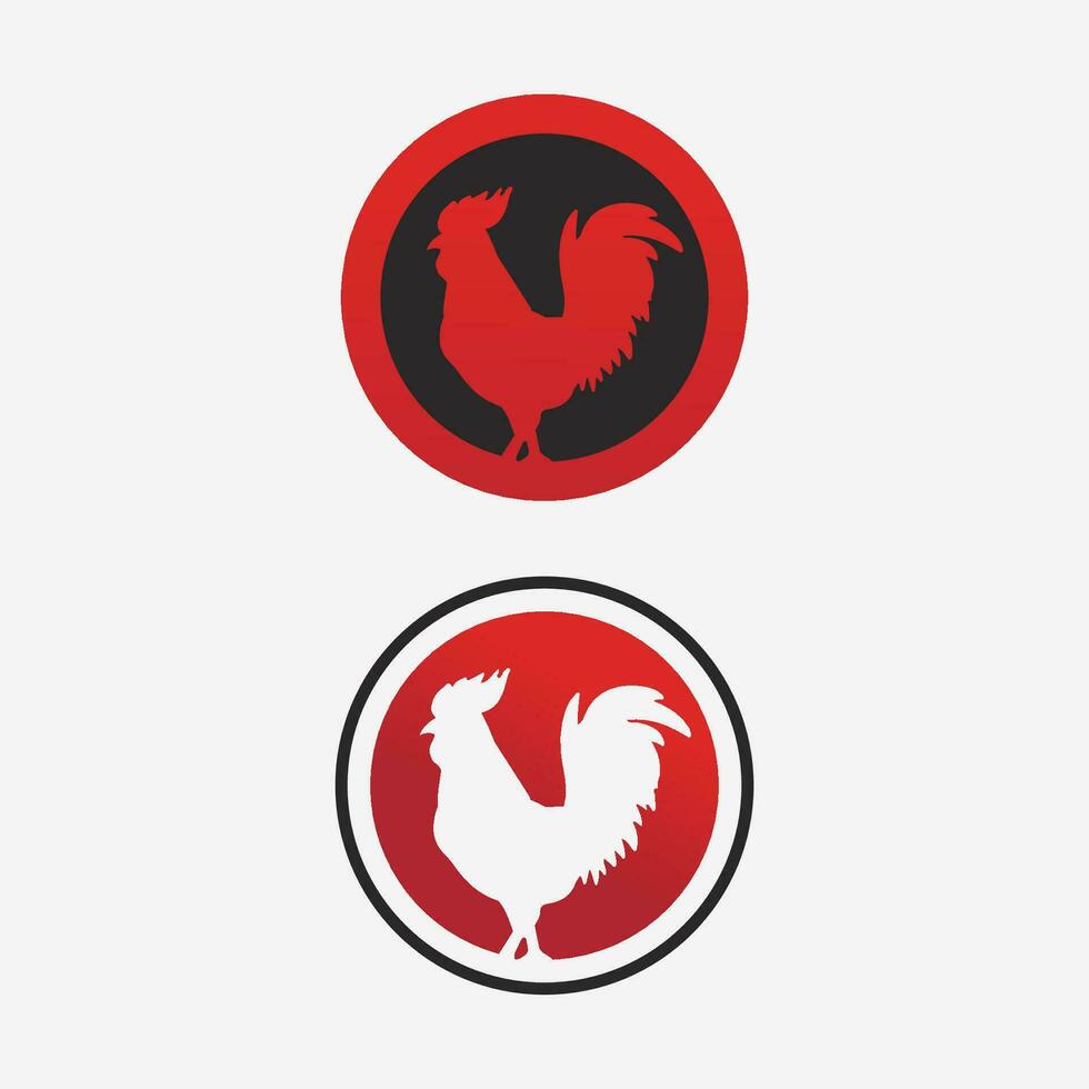 chicken logo  rooster and hen logo for poultry farming  animal logo vector illustration design