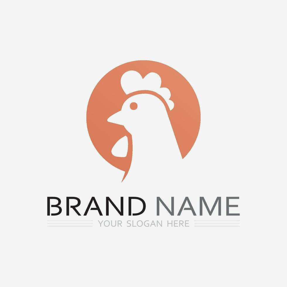 chicken logo  rooster and hen logo for poultry farming  animal logo vector illustration design
