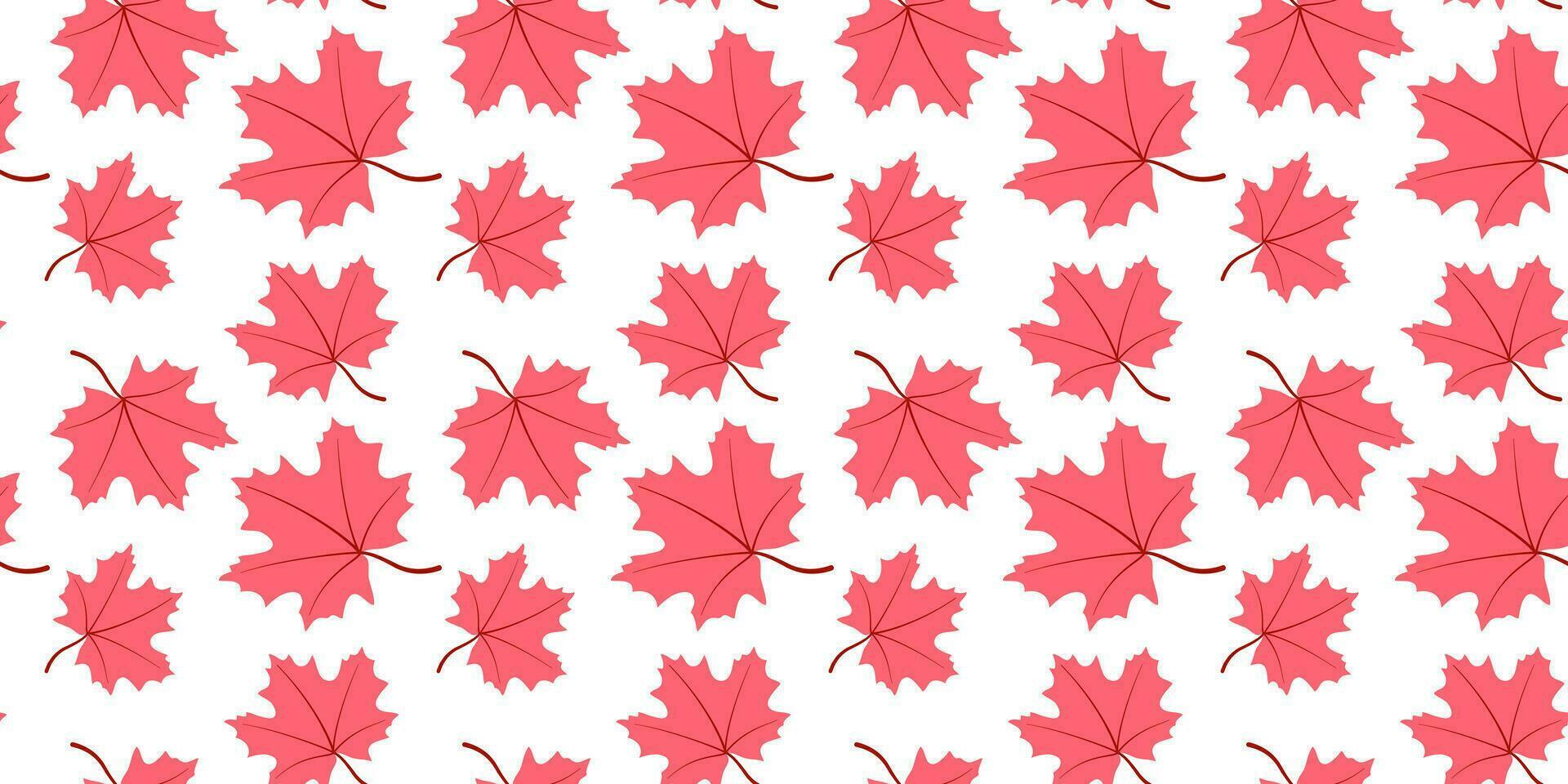 Maple autumn leaves seamless pattern, flat design template. Autumn background vector