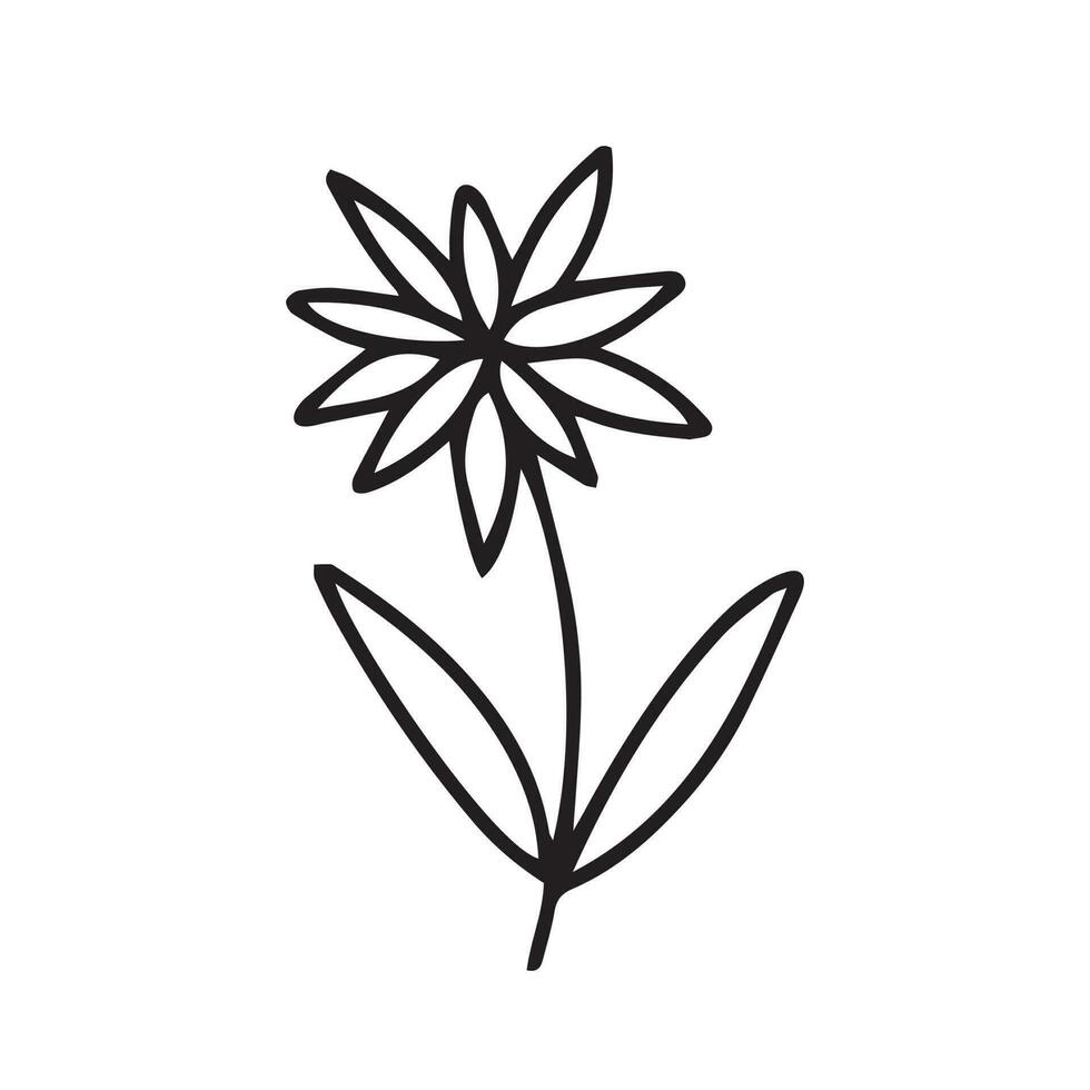 Doodle flower vector illustration. Hand drawn little flower sketch