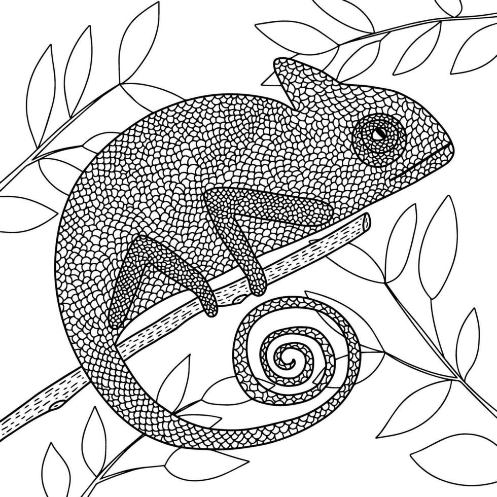 Coloring page with chameleon on branch with leaves. Vector coloring page for children and adults.