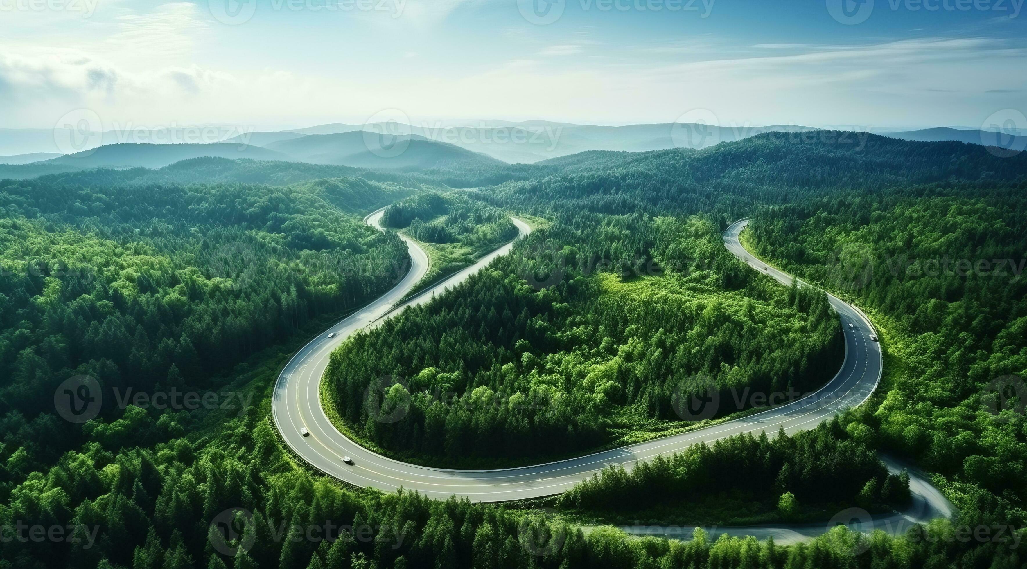 Aerial aerial road winding path forest tree canopy 26686474 Stock Photo