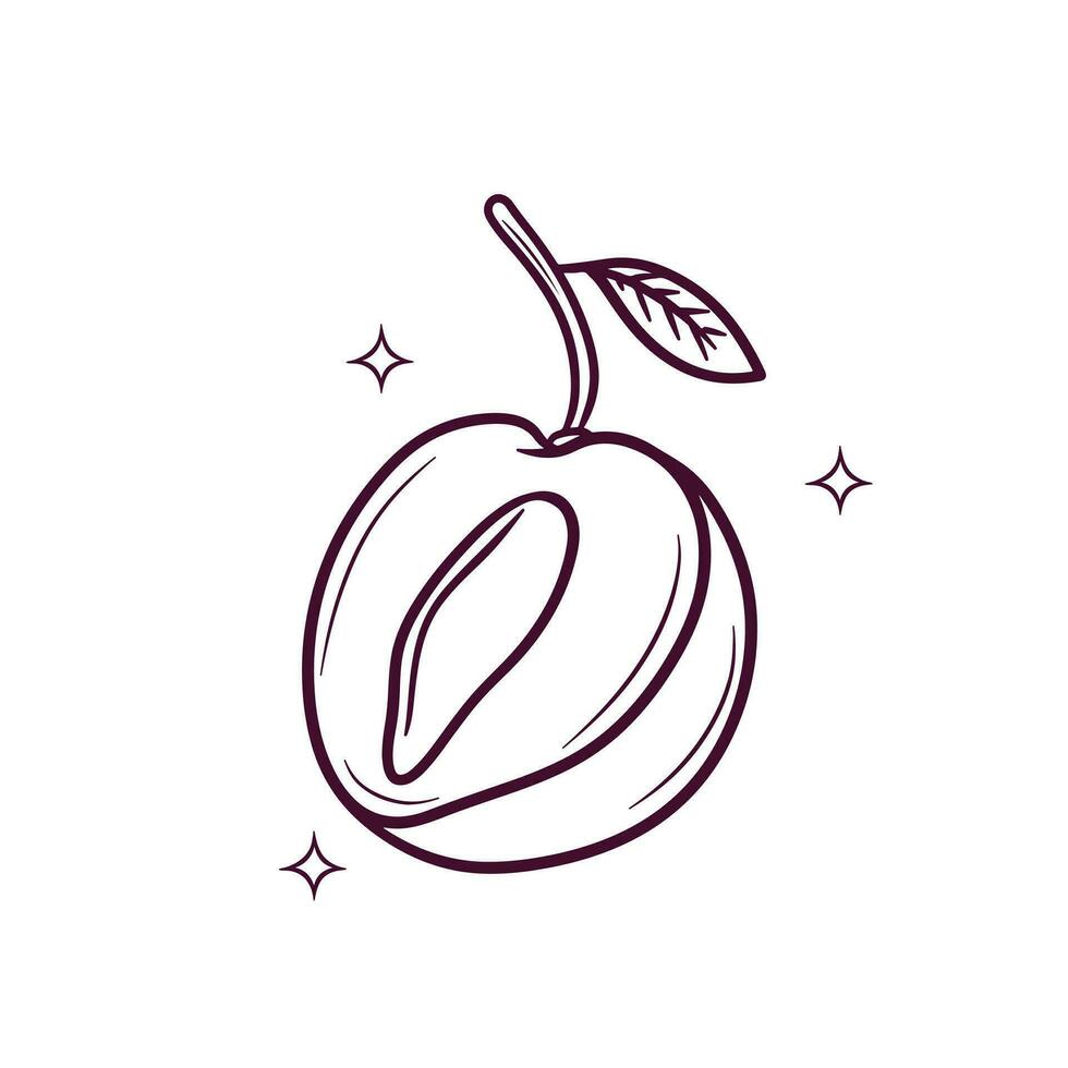 Hand Drawn Plum. Doodle Vector Sketch Illustration