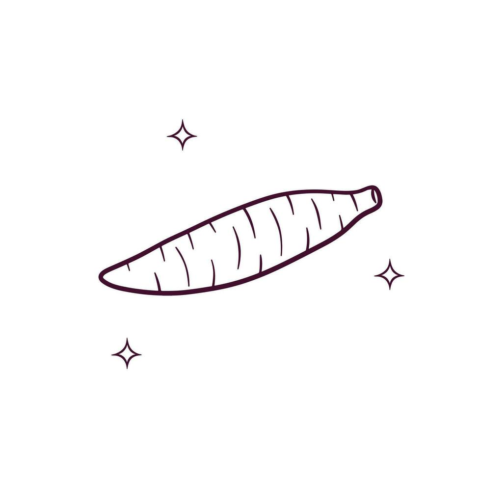 Hand Drawn Cassava. Doodle Vector Sketch Illustration