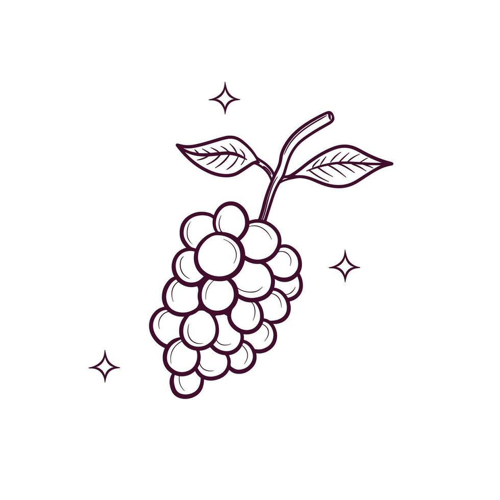 Hand Drawn Grapes. Doodle Vector Sketch Illustration