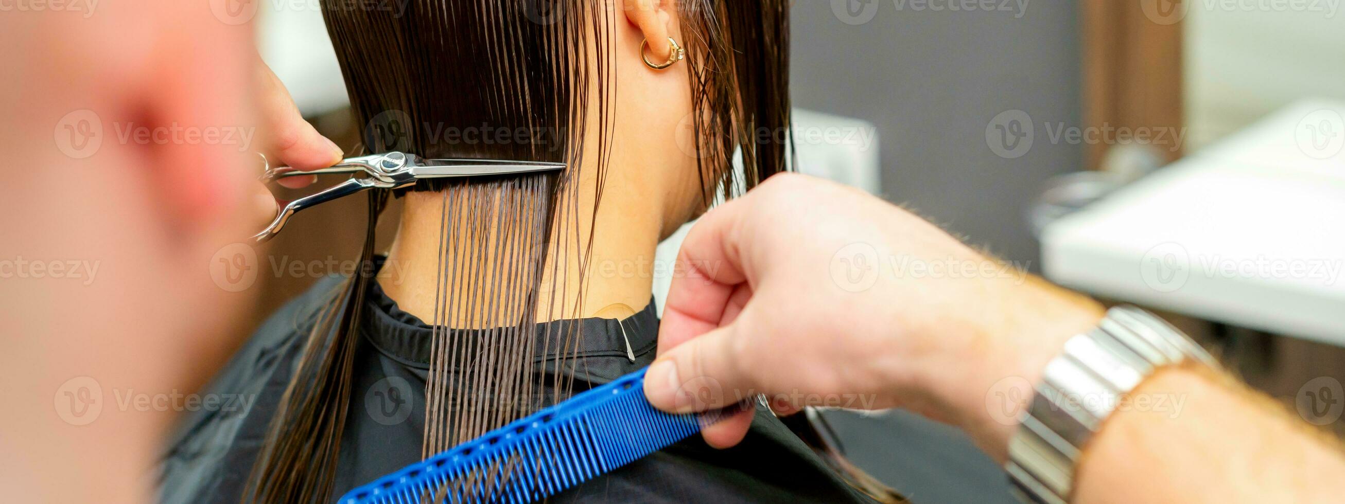 The male hairdresser cuts back female client's hair with scissors and comb in a beauty salon. photo