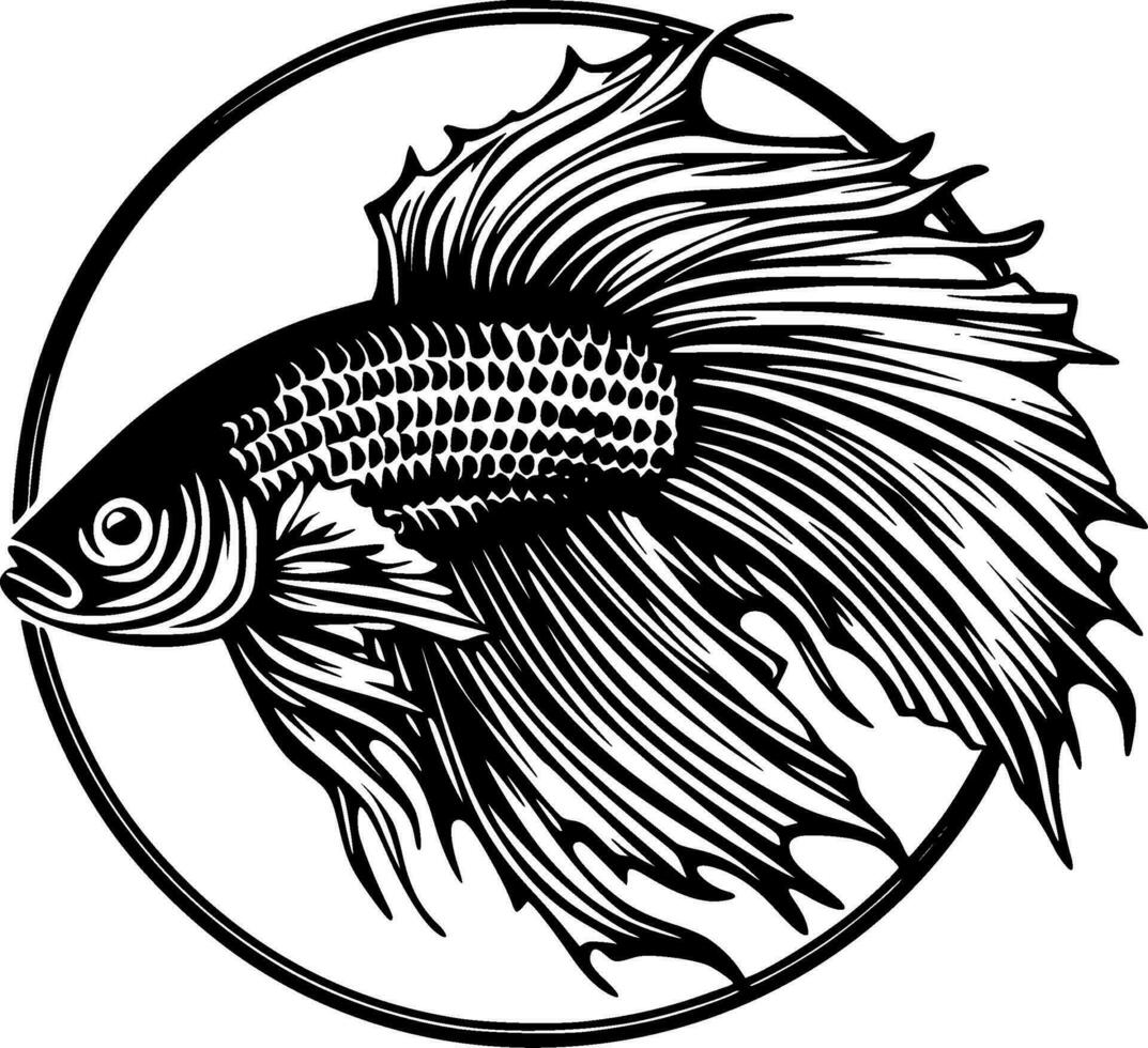 Beta Fish - High Quality Vector Logo - Vector illustration ideal for T-shirt graphic