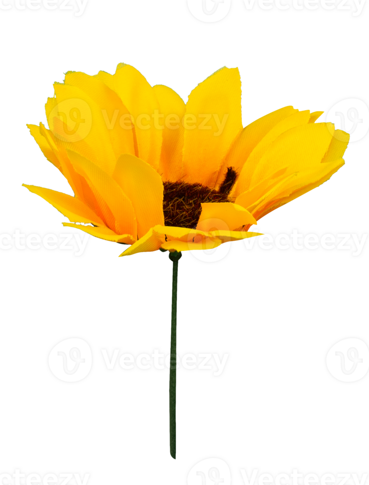Yellow flower head isolated element png