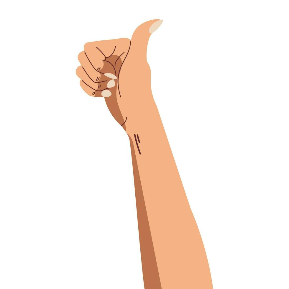 asiático manos ilustración gesticulando pulgares arriba en blanco antecedentes vector
