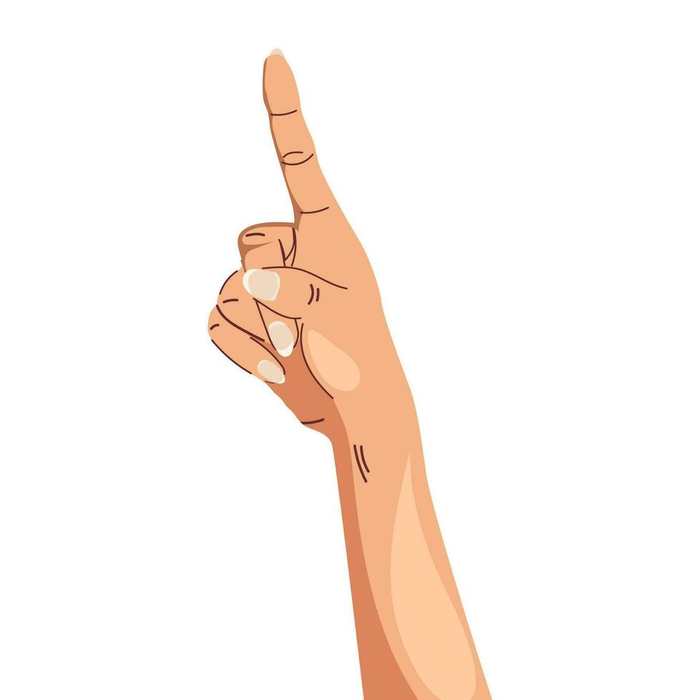 asiático manos ilustración gesticulando señalando en alguna cosa en blanco antecedentes vector