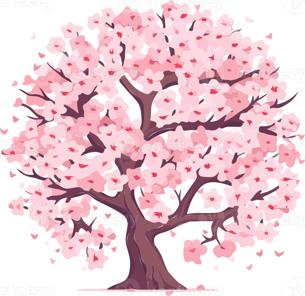 kers bloesem boom illustratie png