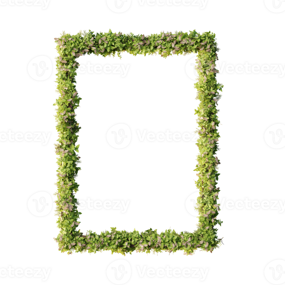 beautiful flower frames png