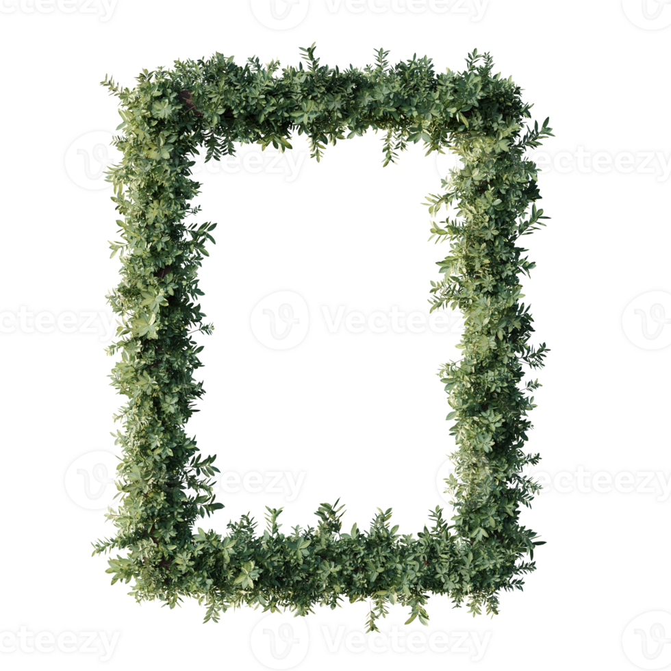 beautiful flower frames png