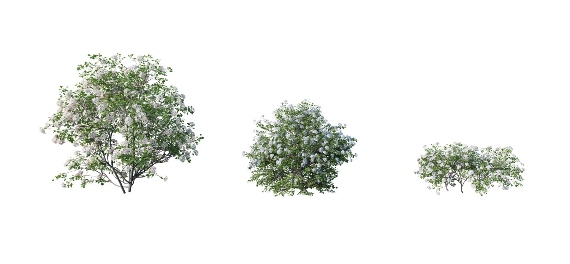 Beautiful garden decorations, flowers, pots, ivy, tree stumps 26691201 PNG