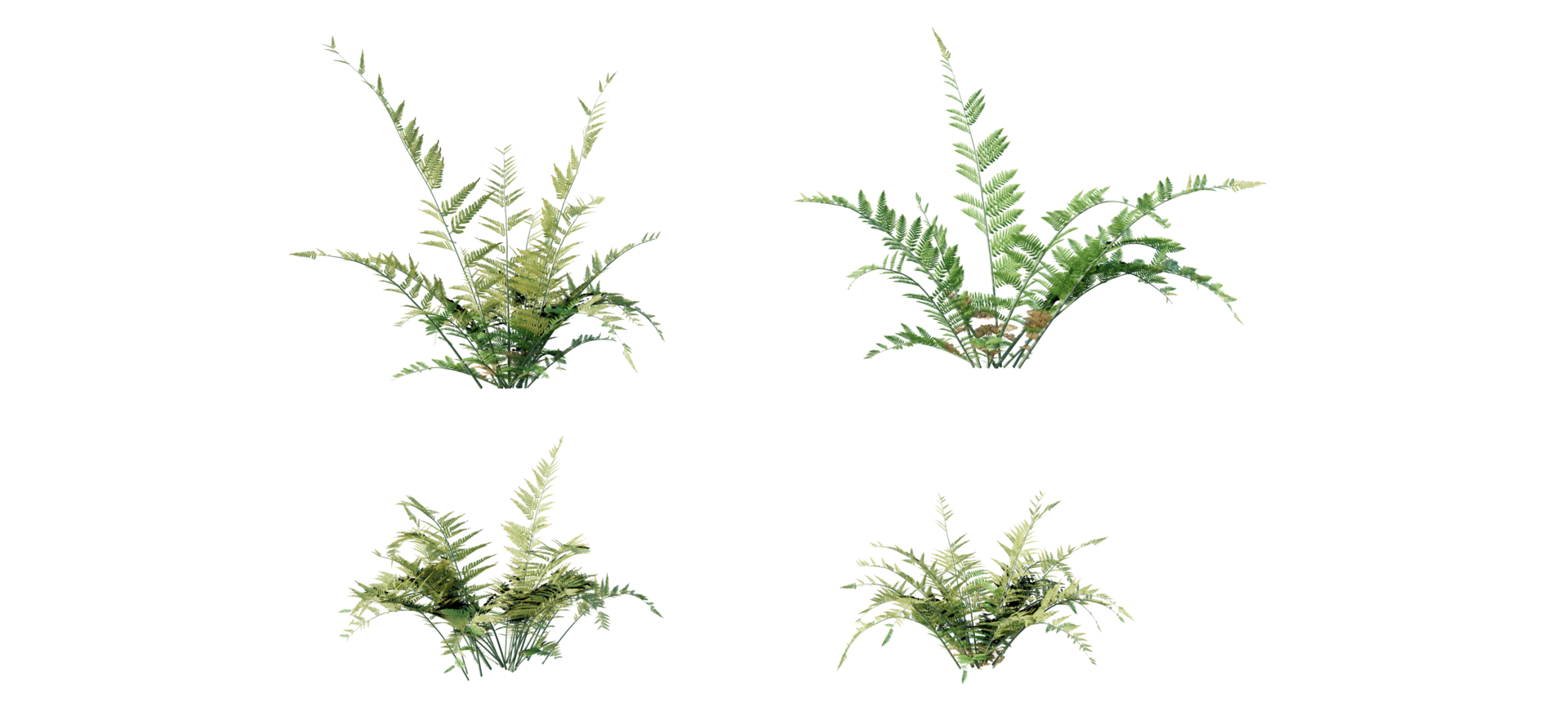 Beautiful garden decorations, flowers, pots, ivy, tree stumps 26691211 PNG