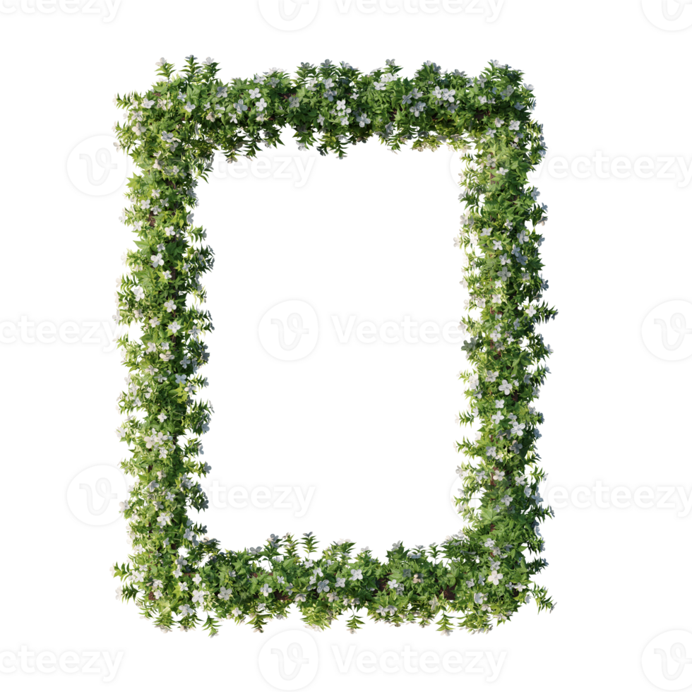 beautiful flower frames png