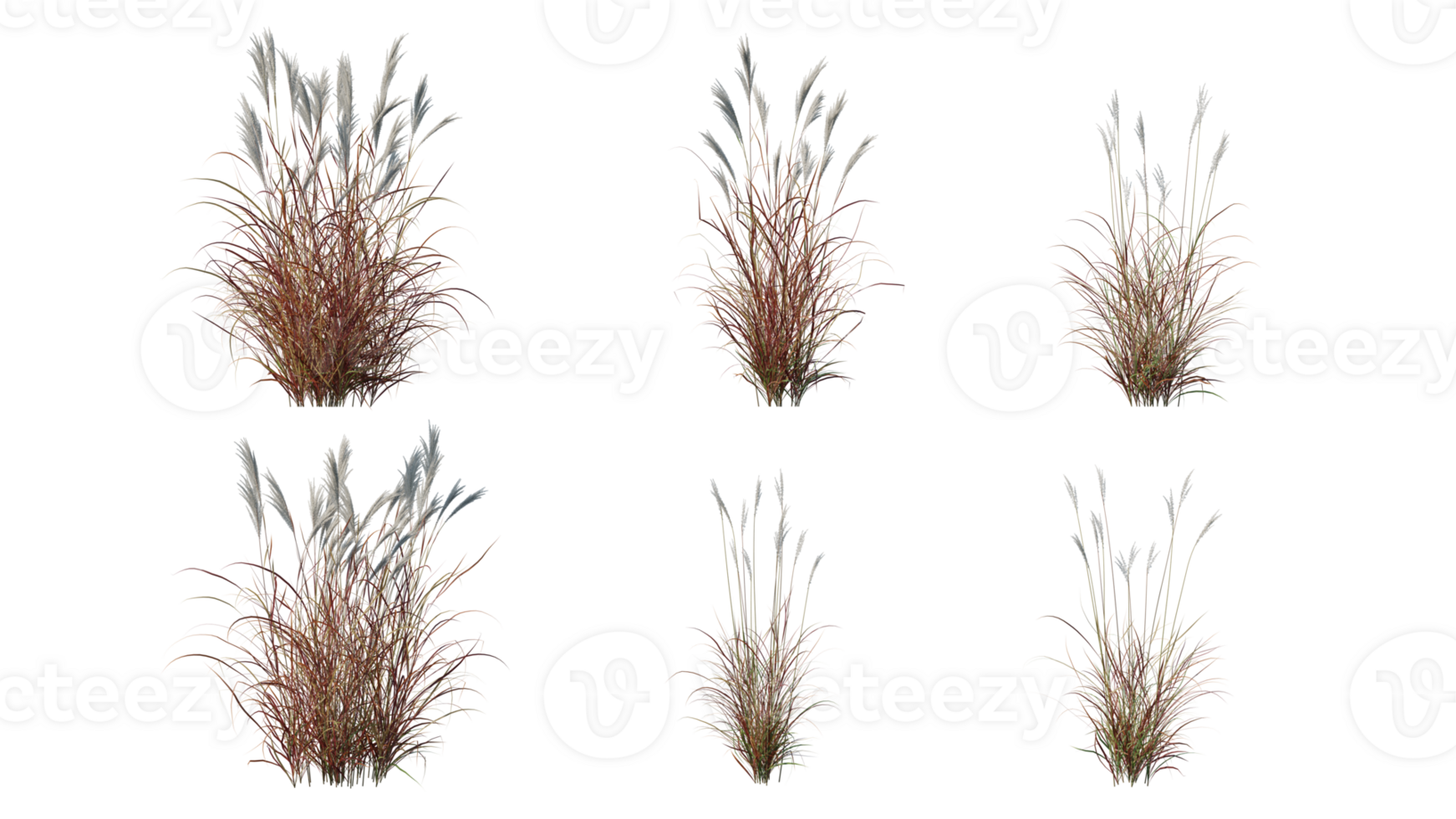 Beautiful grass and flowers for illustration. png