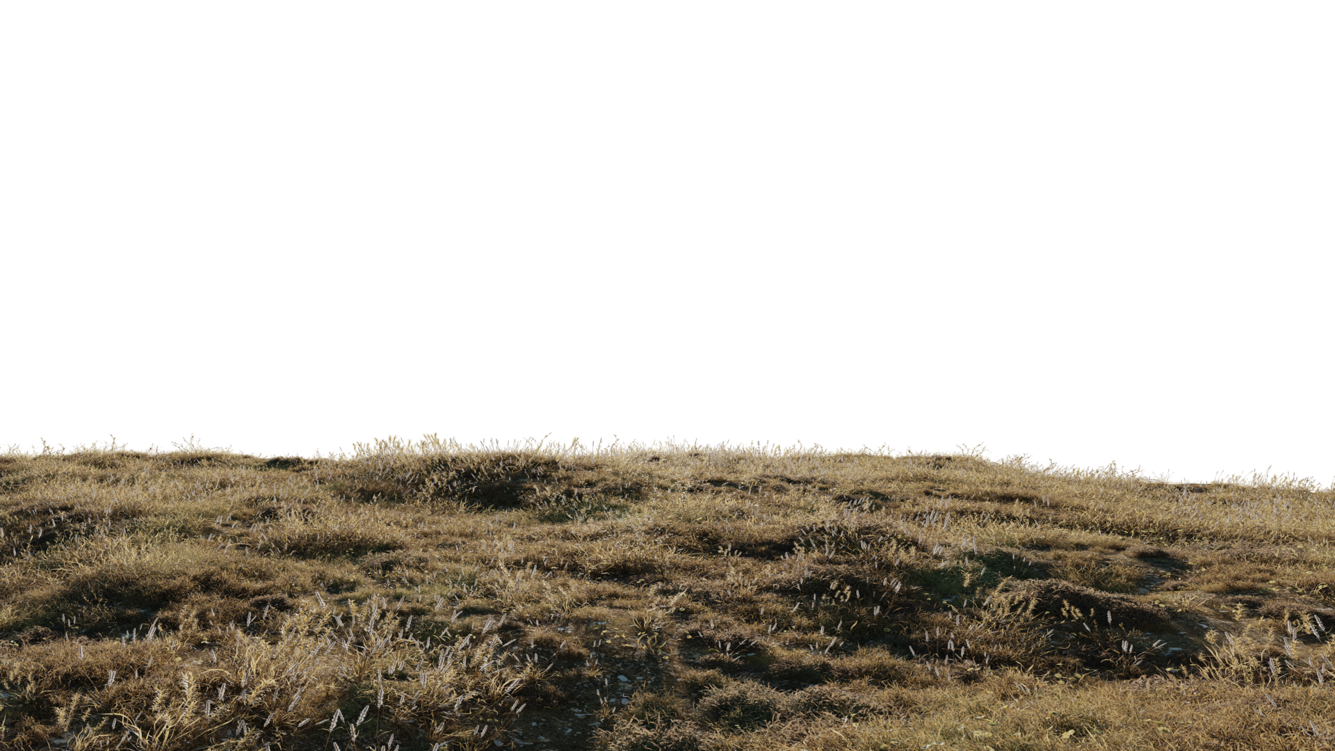 beautiful landscape of dry grass 26691246 PNG