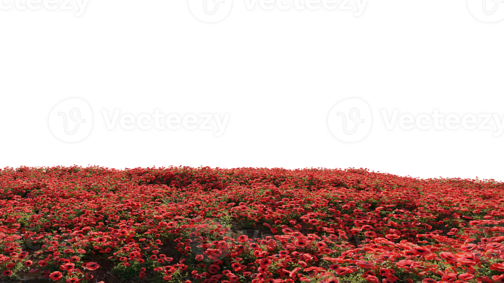beautiful landscape red flowers png