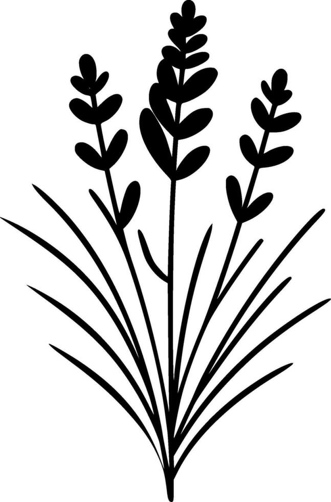 Lavender, Minimalist and Simple Silhouette - Vector illustration