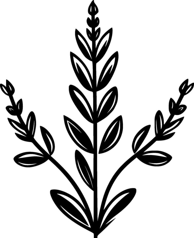 Lavender, Black and White Vector illustration