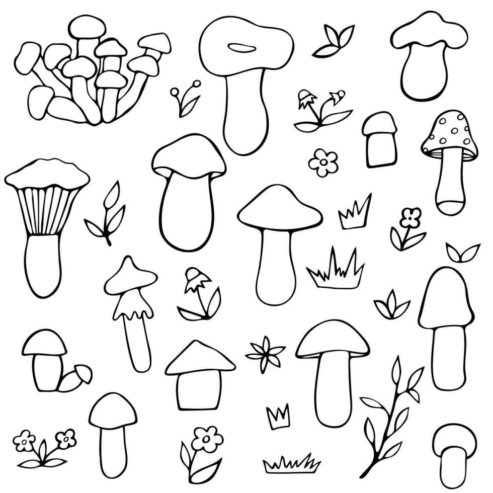 mushroom doodle collection vector