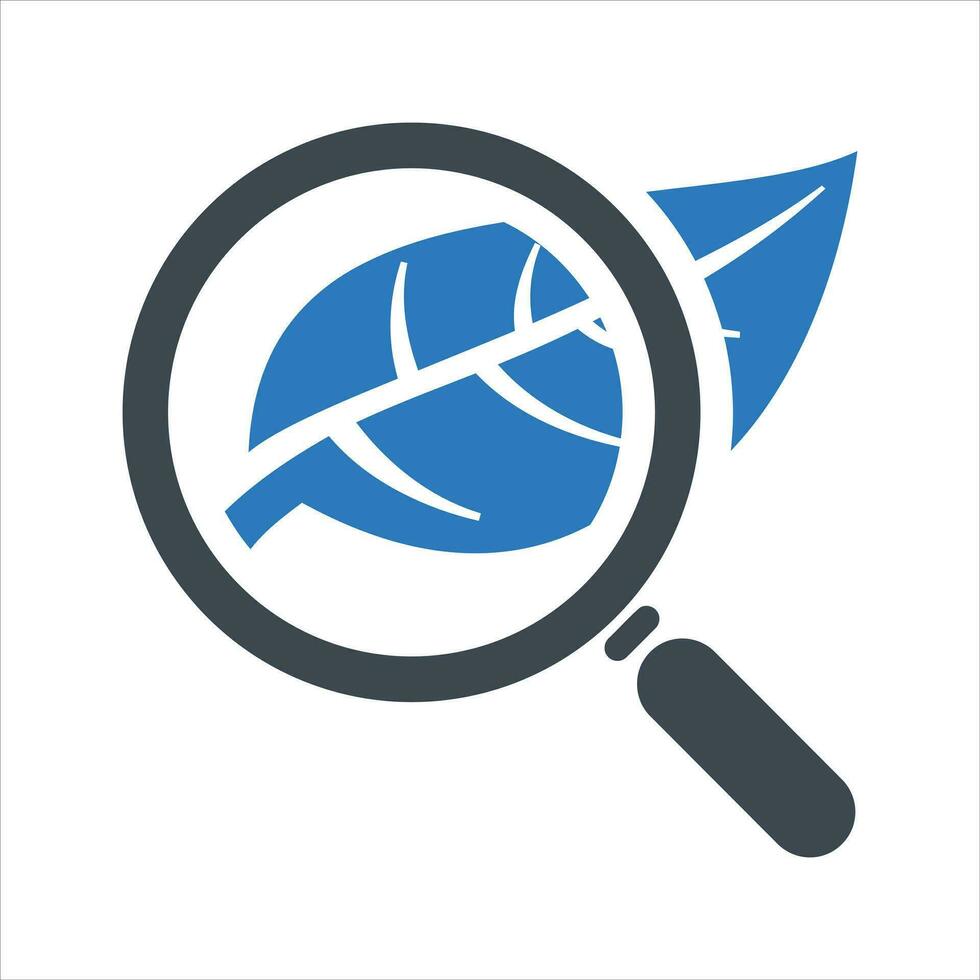 Organic search icon. Vector and glyph