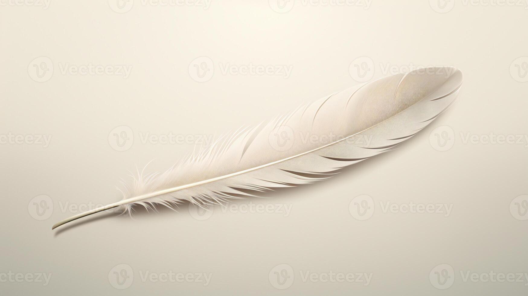 white feather on black background photo