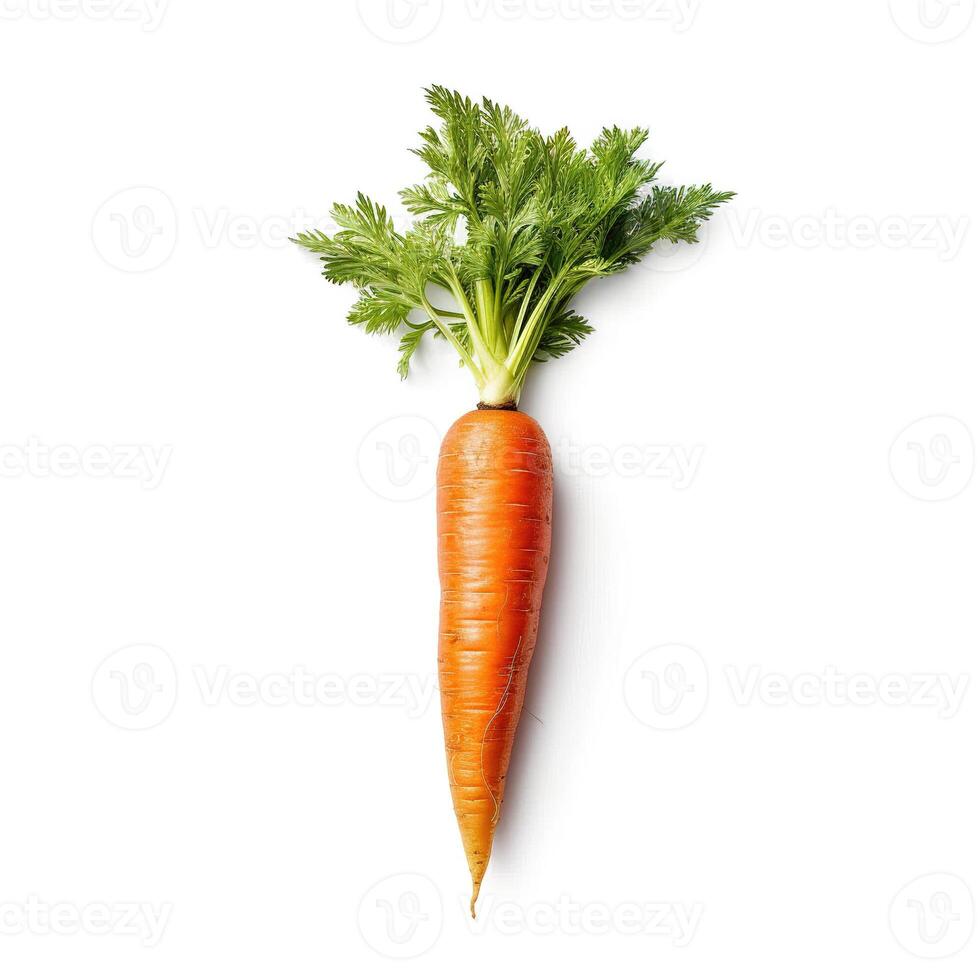 Carrots on white background. photo