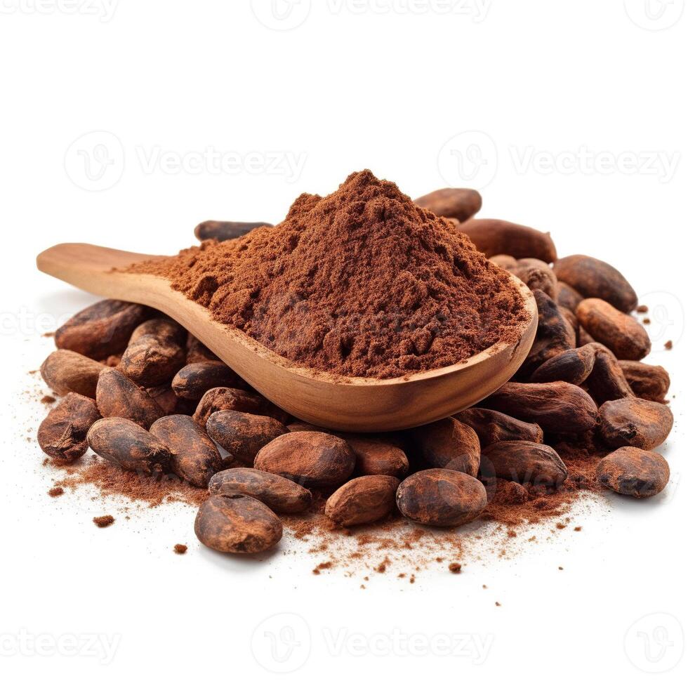 Cocoa on white background. photo