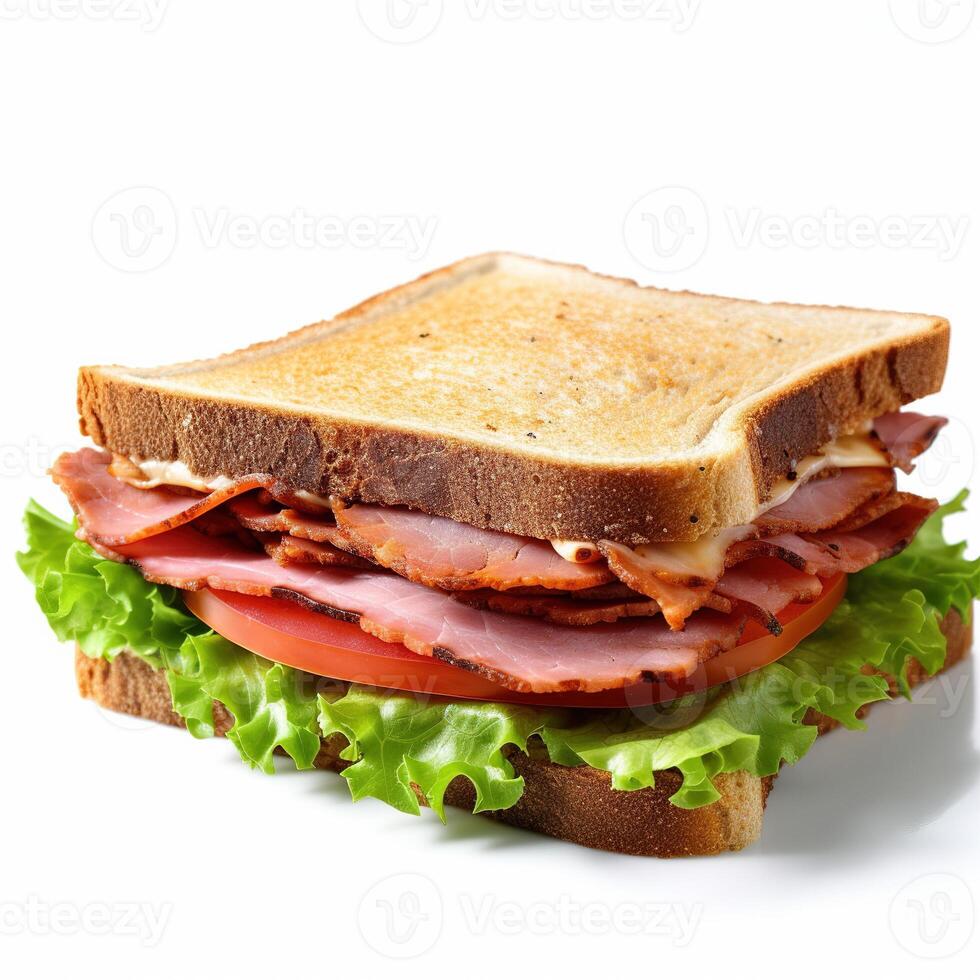 Sandwich on white background. photo