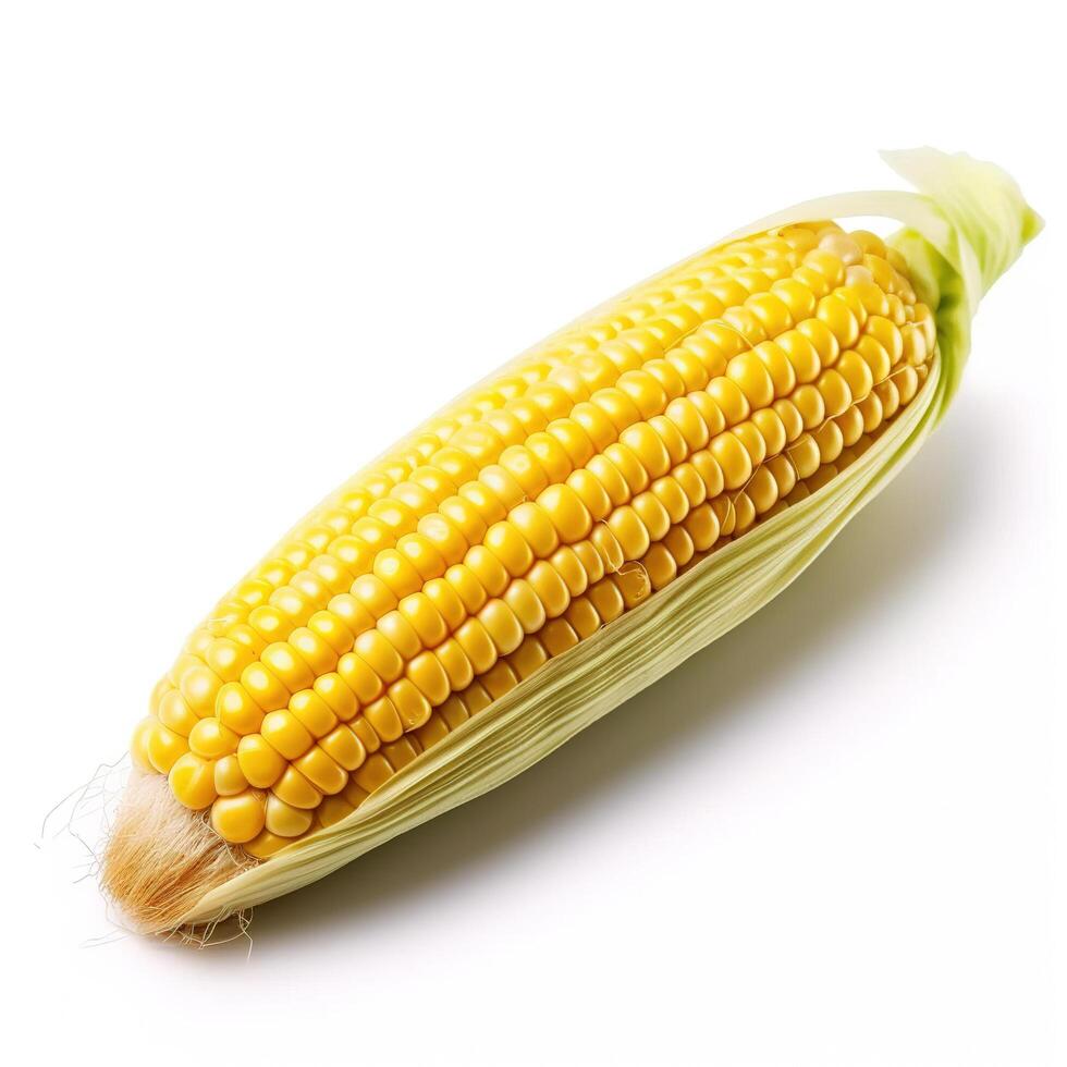 Corn cob on white background. photo