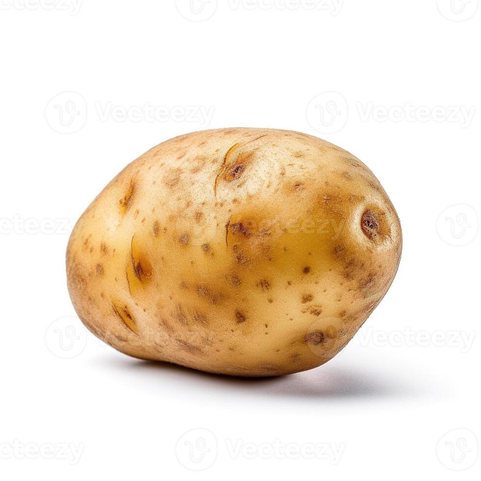 Potato on white background. photo