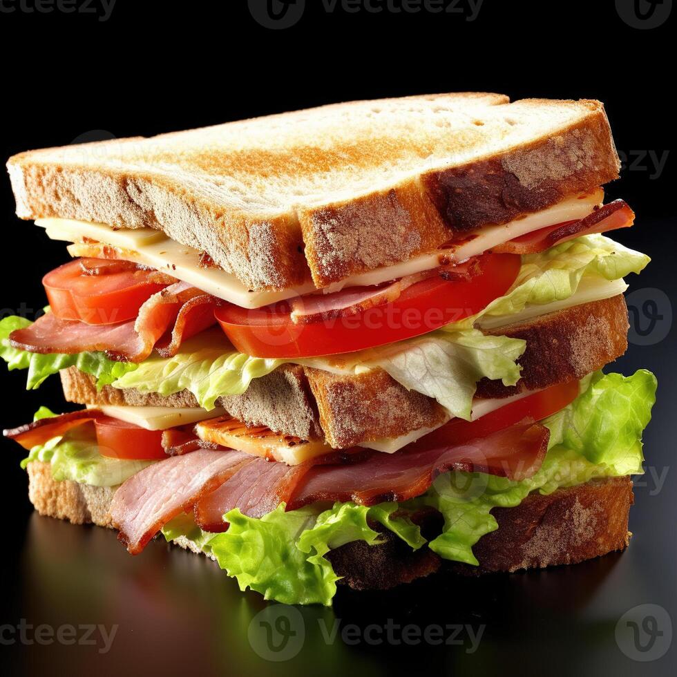 Sandwich on white background. photo