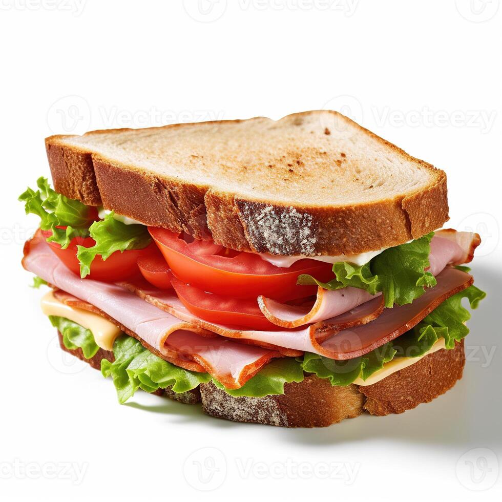 Sandwich on white background. photo