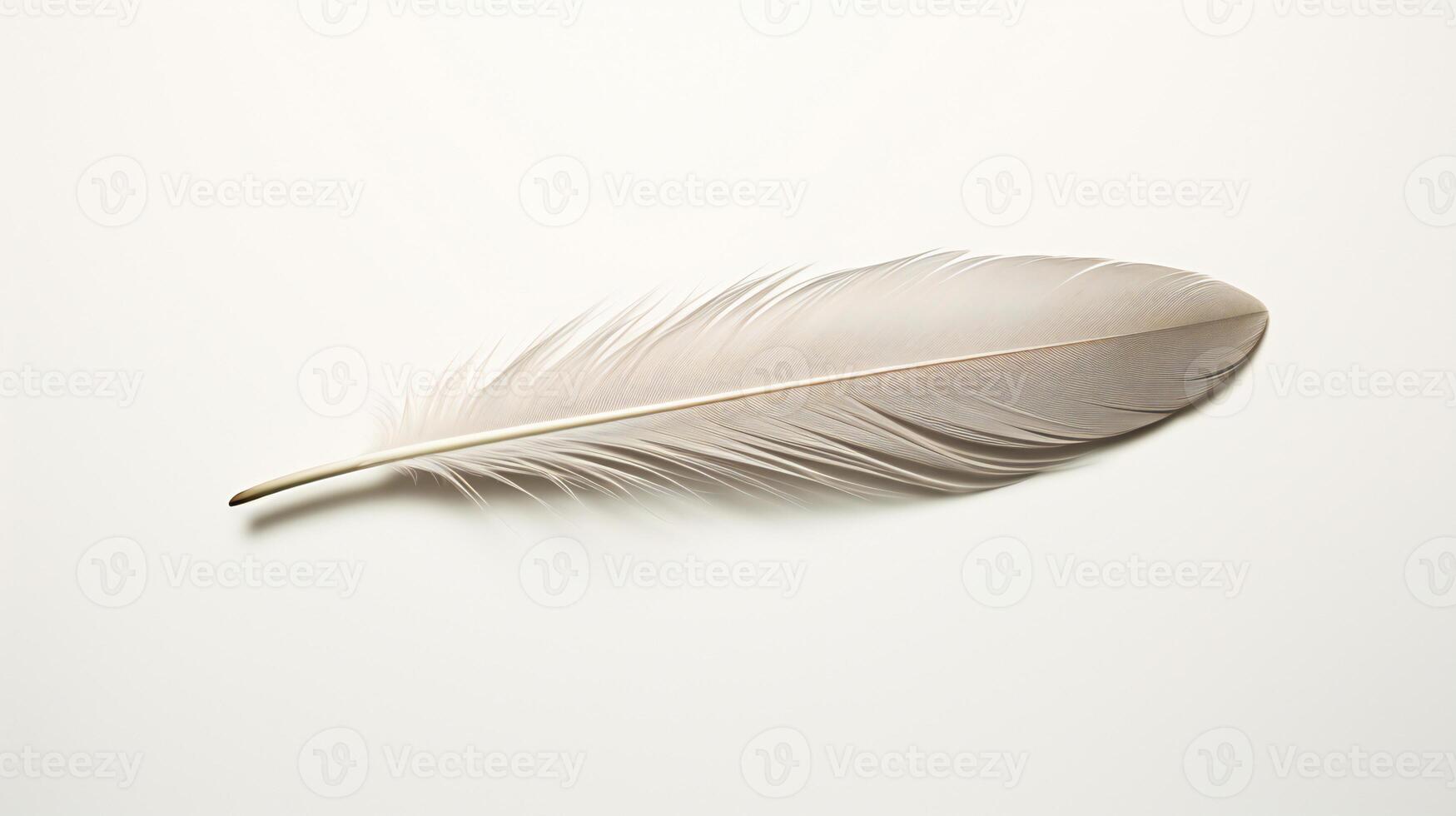 white feather isolated on white background AI Generative photo