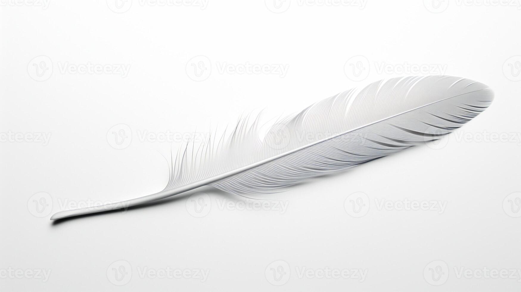 white feather isolated on white background photo