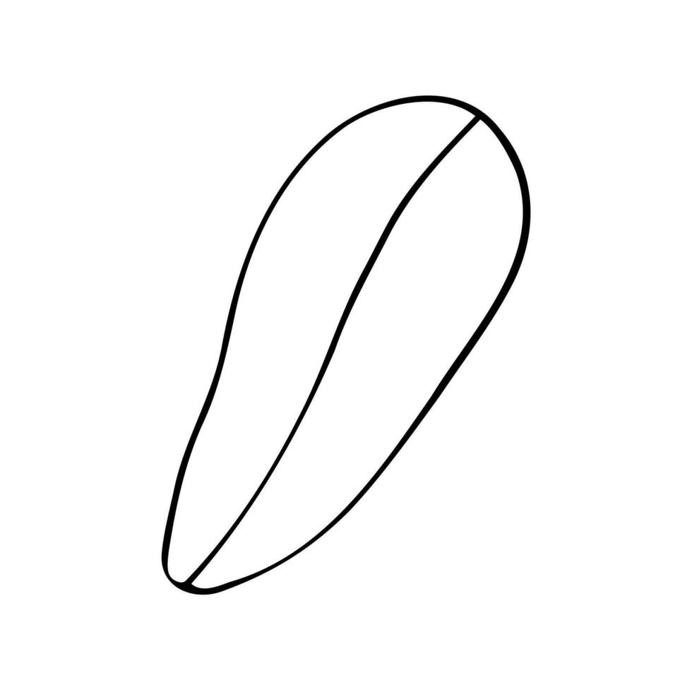 Line art vector illustration with tropical leaf