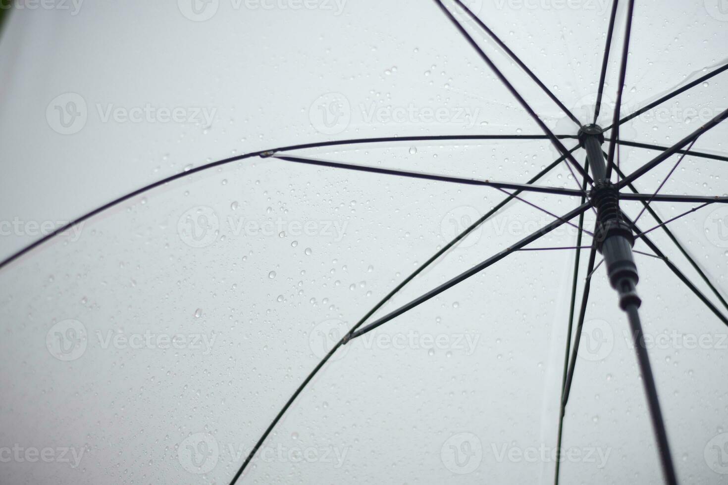 rain drop on umbrella. rainy season concept. photo