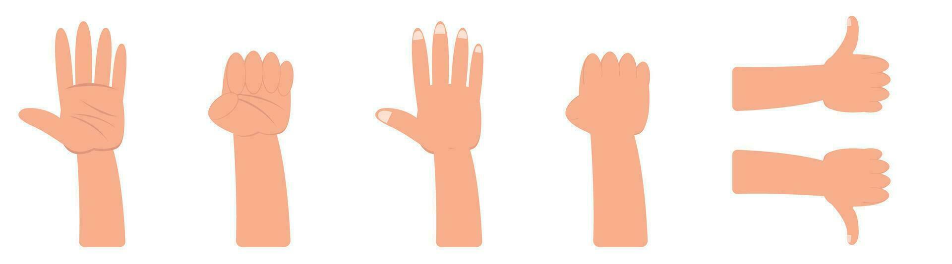 palm hand thumb up thumb down like dislike flat design vector